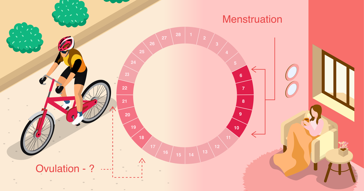 period calculator 6 months