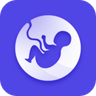 Pregnancy Calculator